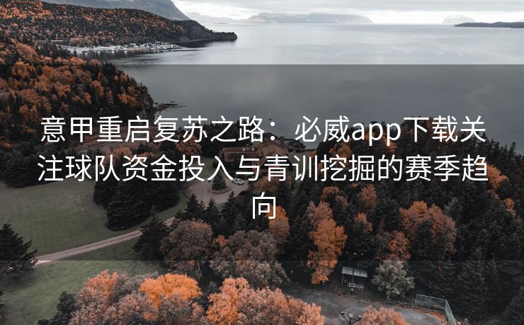 意甲重启复苏之路：必威app下载关注球队资金投入与青训挖掘的赛季趋向  第1张