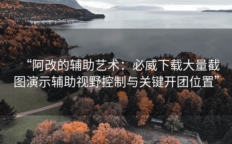 “阿改的辅助艺术：必威下载大量截图演示辅助视野控制与关键开团位置”  第2张